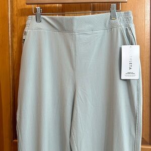 NWT Athleta Brooklyn Textured Jogger Sz 14, blue/green striped